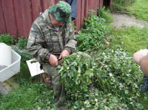 Какая же баня без набора целебных банных веников