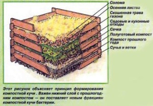 Принцип формирования компостной кучи